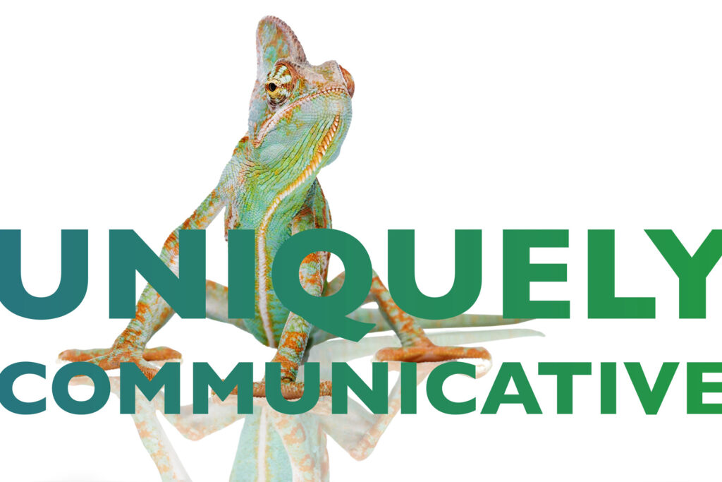Unequity_Jobs_Join_the_Team_08_1920x1280px