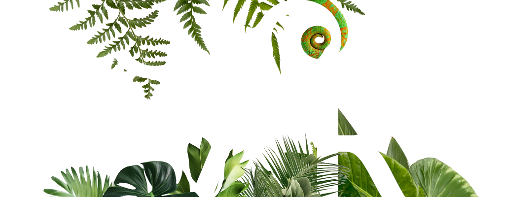 Glossar