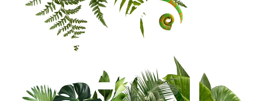Glossary