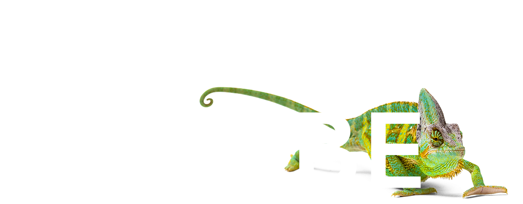 uneQUBE